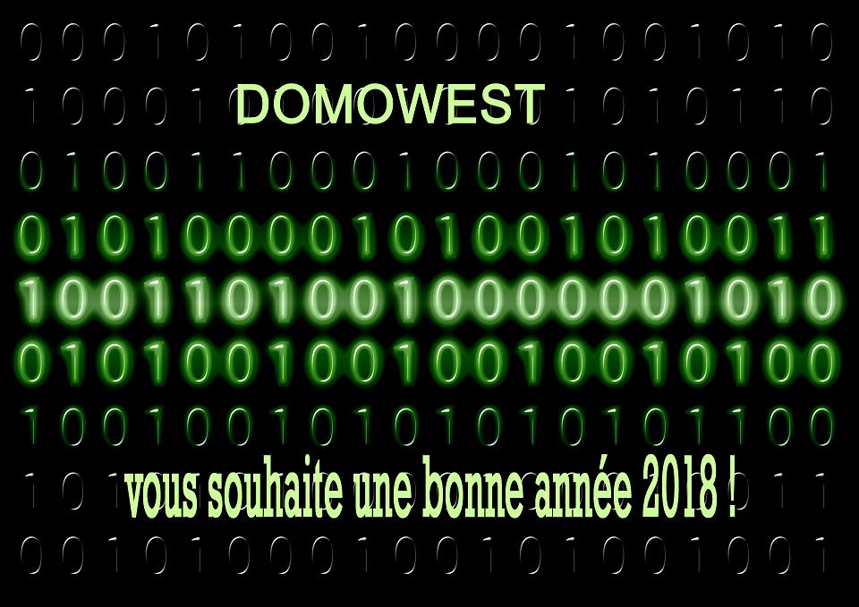 Bonne année 2018